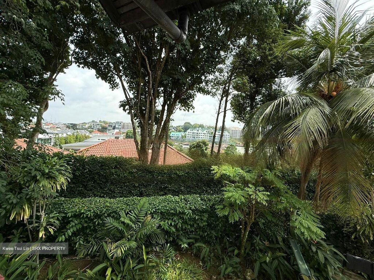 Duchess Avenue (D10), Detached #470761121